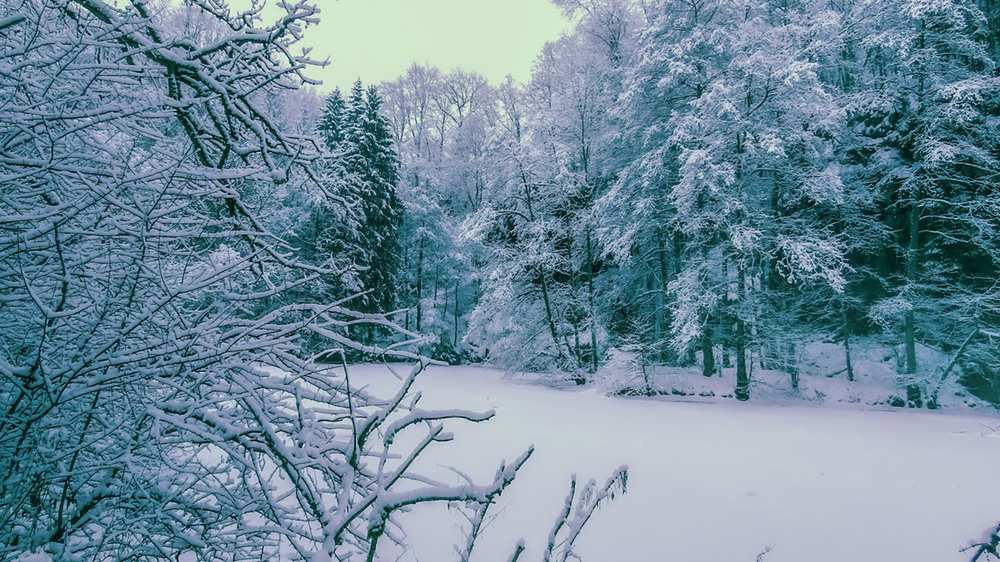Фотографія Вечірня на озері... / Igor Lysenok / photographers.ua