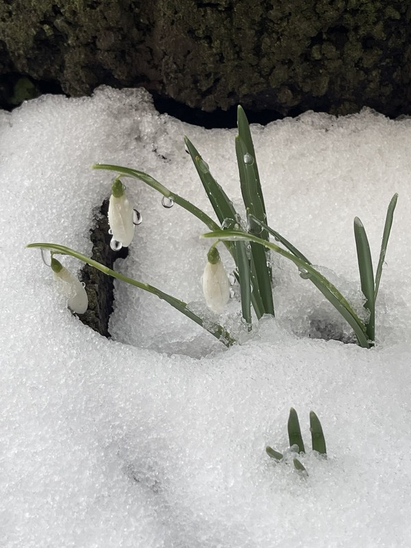 Фотографія Обставини непереборної сили. / Igor Lysenok / photographers.ua