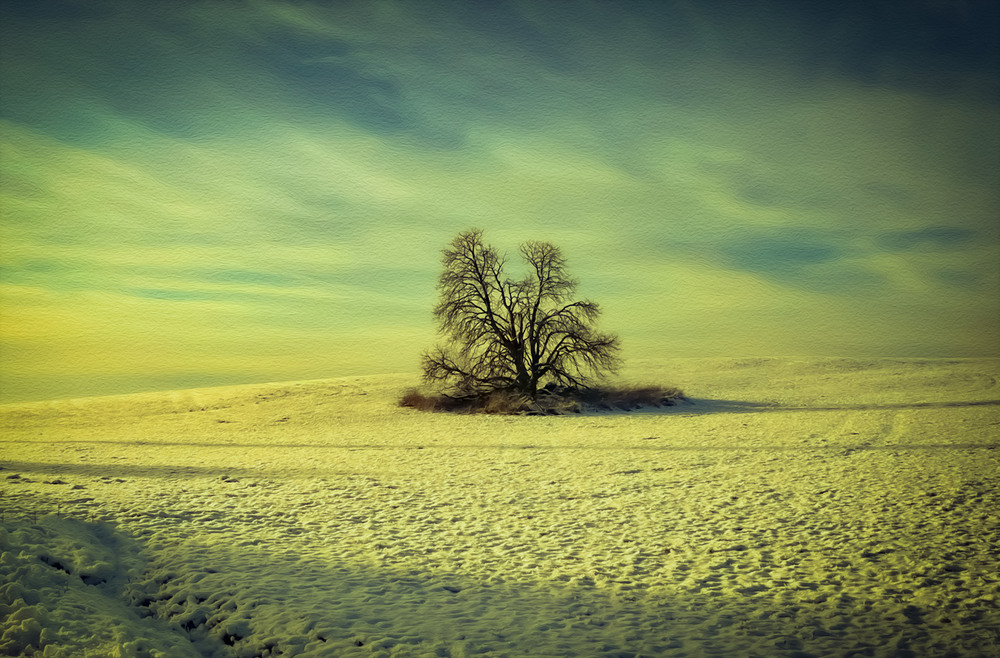 Фотографія Перший сніг... Вечір... / Igor Lysenok / photographers.ua