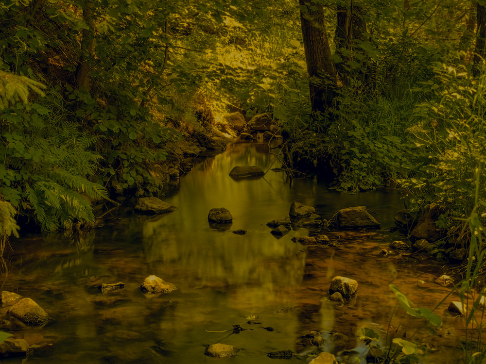 Фотографія Таємний форватер... / Igor Lysenok / photographers.ua