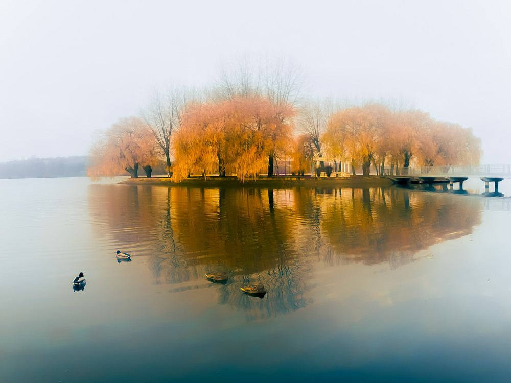 Фотографія ...Островок / Igor Lysenok / photographers.ua