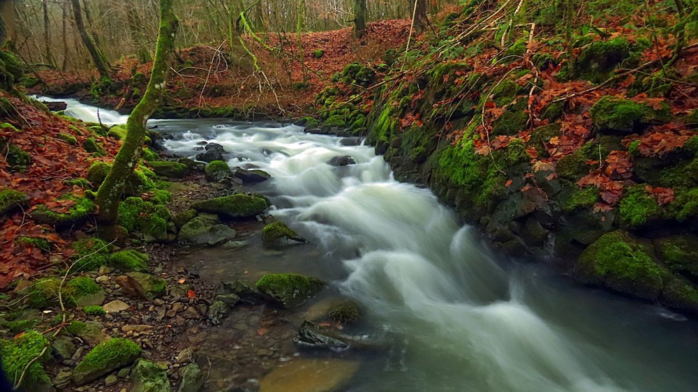 Фотографія Не зовсім біла Зима... / Igor Lysenok / photographers.ua