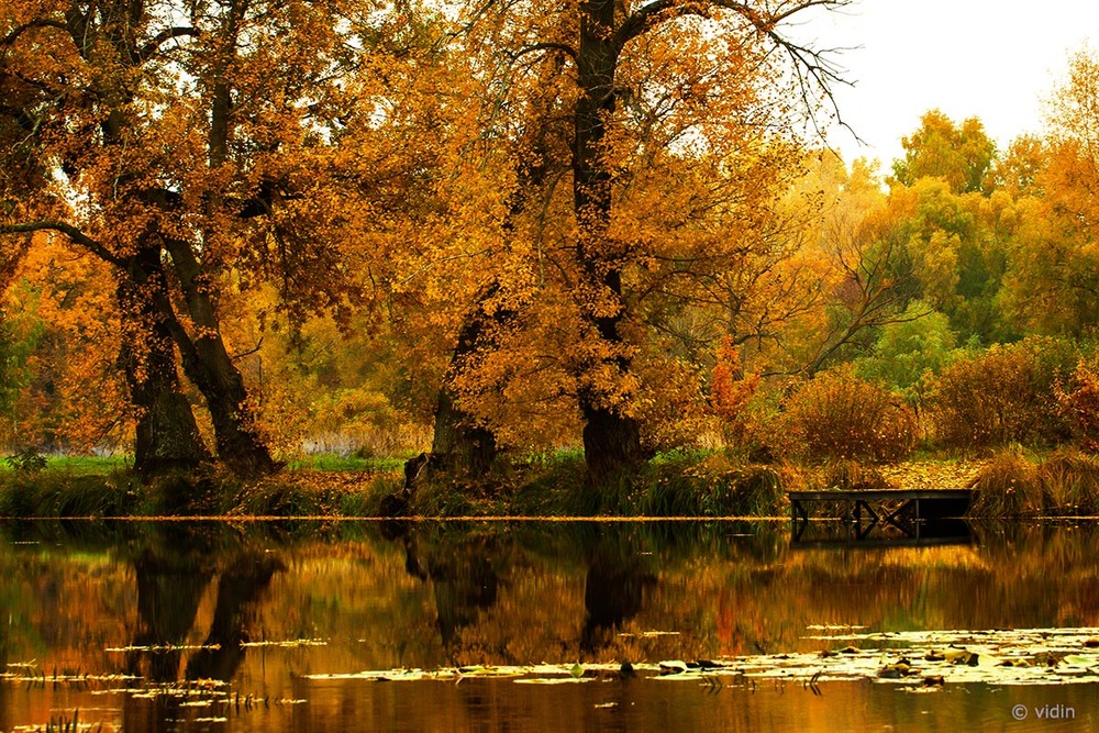 Фотографія Пейзаж / Victor Vidin / photographers.ua