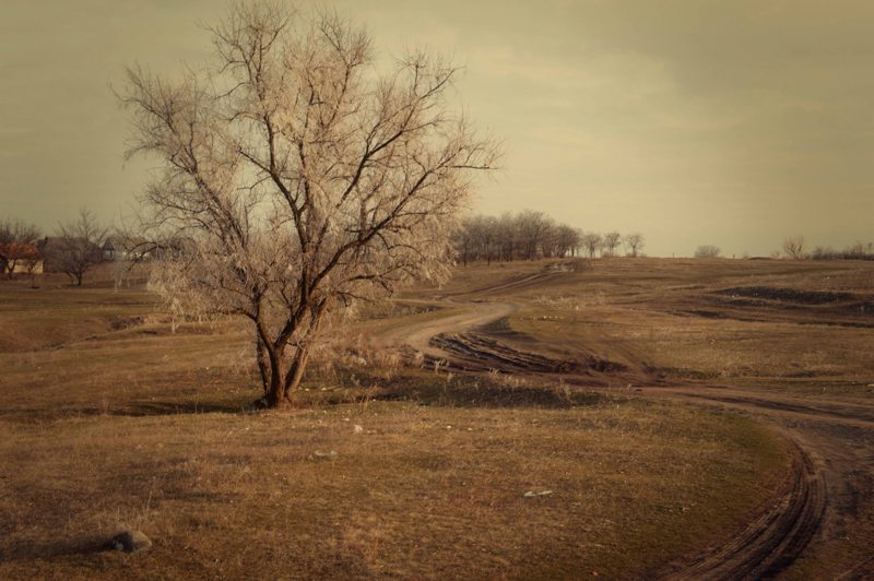 Фотографія Пейзаж / Елена Михайленко / photographers.ua