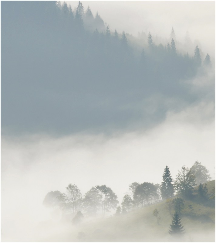 Фотографія Morning Fog / Aeromast / photographers.ua
