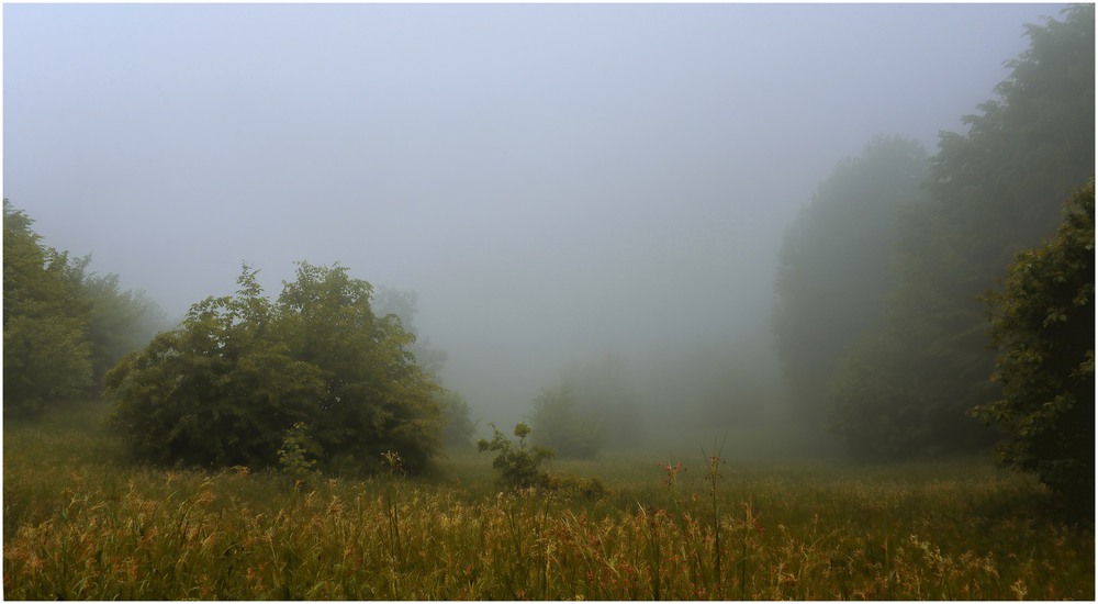 Фотографія The mist in mountains / Aeromast / photographers.ua