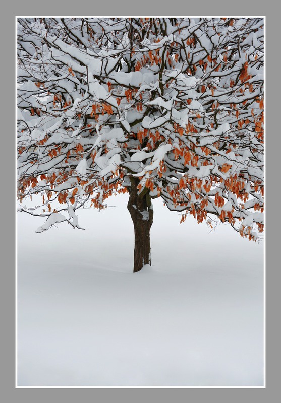 Фотографія Autumn - Winter / Aeromast / photographers.ua