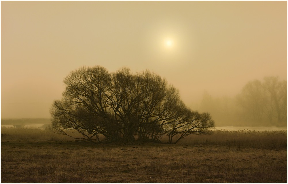 Фотографія Landscape in the Mist / Aeromast / photographers.ua