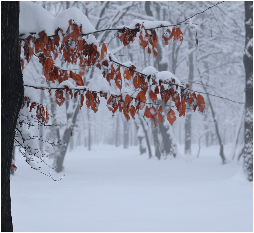Фотографія Зима в КВАДРАТЕ / Aeromast / photographers.ua
