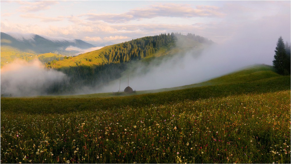 Фотографія Valley of flowers / Aeromast / photographers.ua