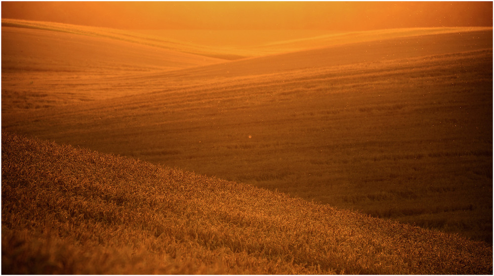 Фотографія Empty Field. Autumn. / Aeromast / photographers.ua