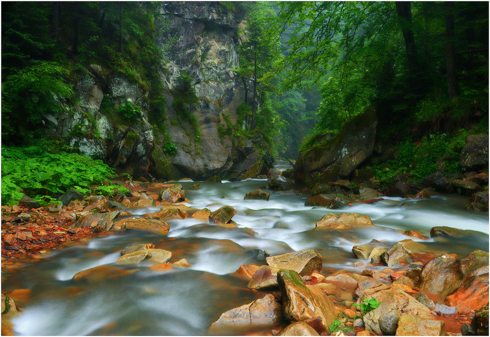 Фотографія Canyon in Skole / Aeromast / photographers.ua