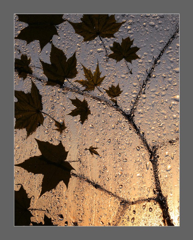 Фотографія Farewell Autumn! / Aeromast / photographers.ua