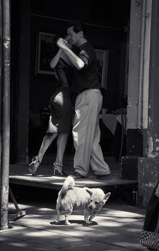 Фотографія Ищу партнершу (или аргентинское танго) / Babka Yoshka / photographers.ua