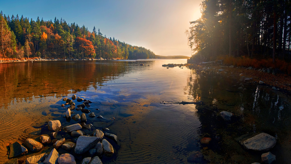Фотографія Озеро Харрида. Осень / Babka Yoshka / photographers.ua