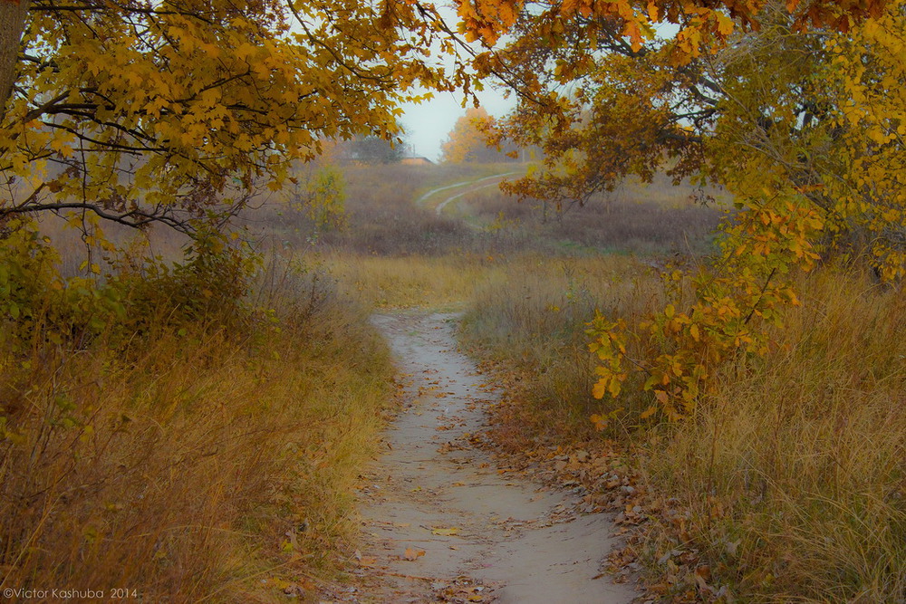 Фотографія Крізь осінь / Victor Kashuba / photographers.ua