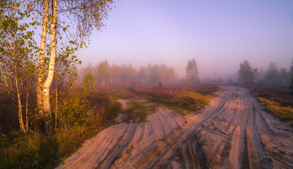 Фотографія Туман на поле бросил серую вуаль / Міщенко Вячеслав / photographers.ua