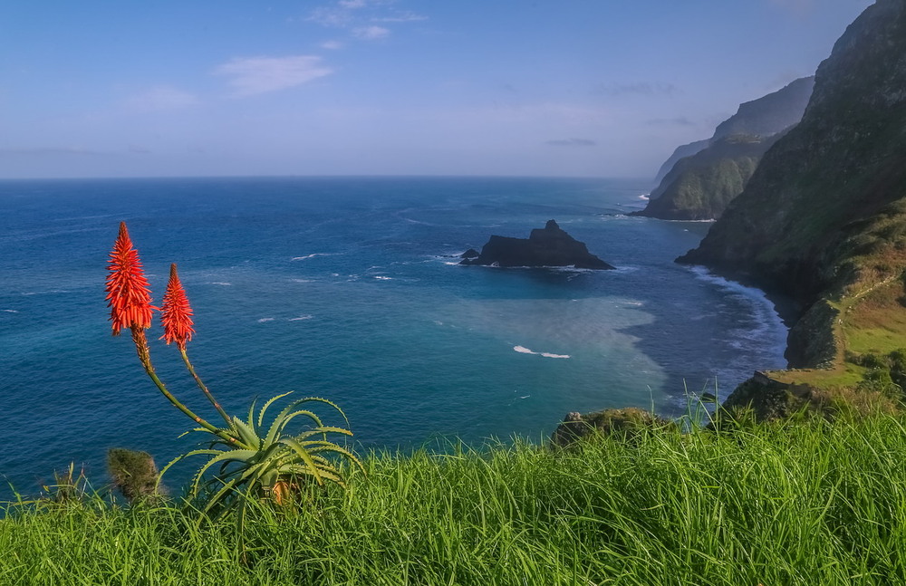 Фотографія Мадейра / Міщенко Вячеслав / photographers.ua