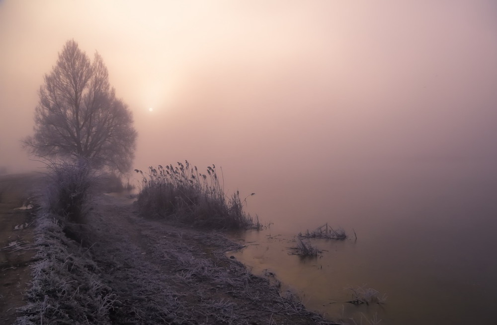 Фотографія Густым туманом пропитана душа / Міщенко Вячеслав / photographers.ua