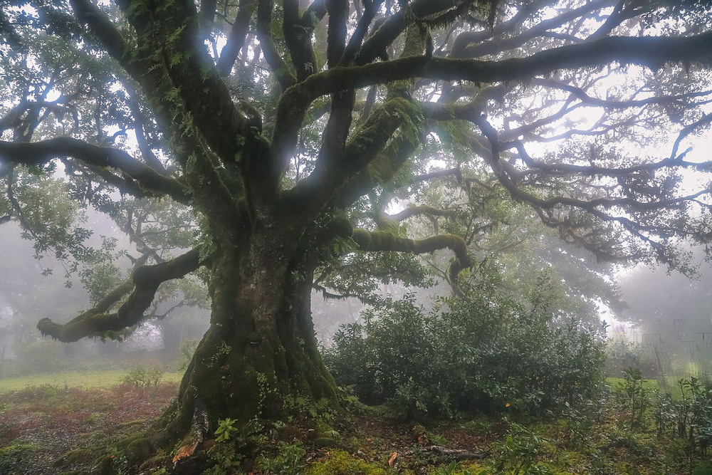 Фотографія **** / Міщенко Вячеслав / photographers.ua