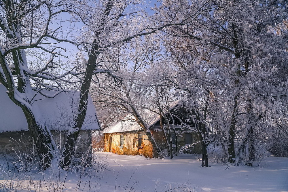 Фотографія **** / Міщенко Вячеслав / photographers.ua
