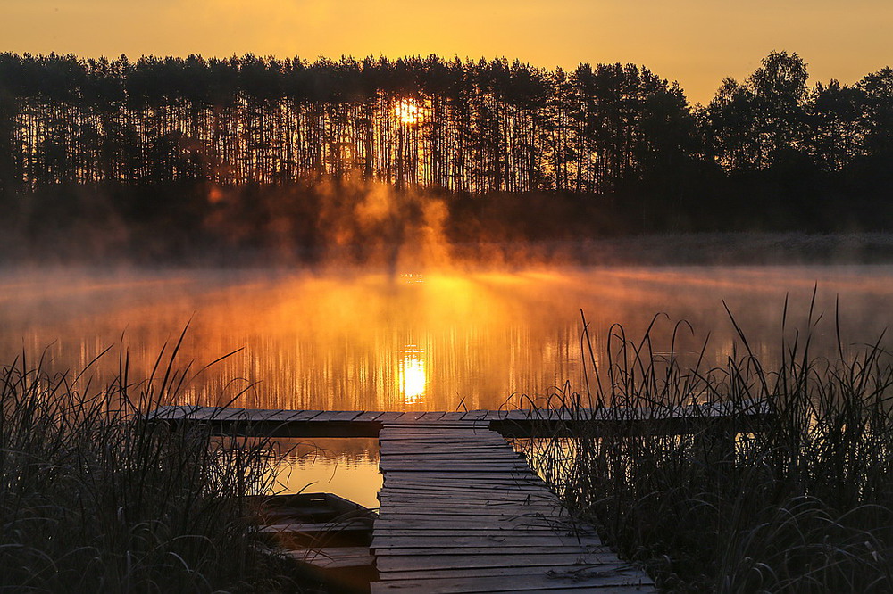 Фотографія Осень тихо ступает, встречая рассвет... / Міщенко Вячеслав / photographers.ua