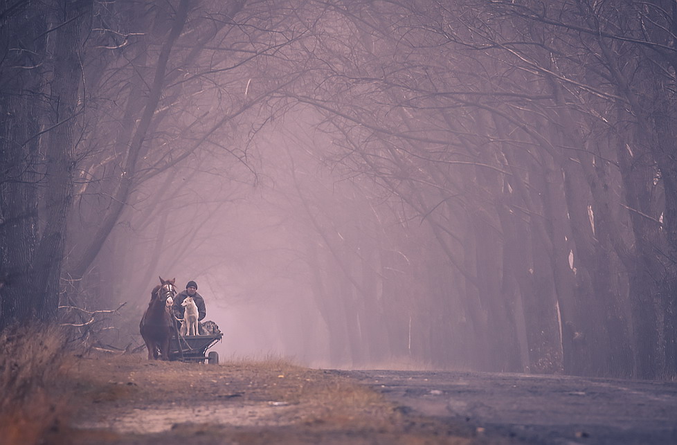 Фотографія Что-то воздуху мне мало, ветер пью, туман глотаю.. / Міщенко Вячеслав / photographers.ua