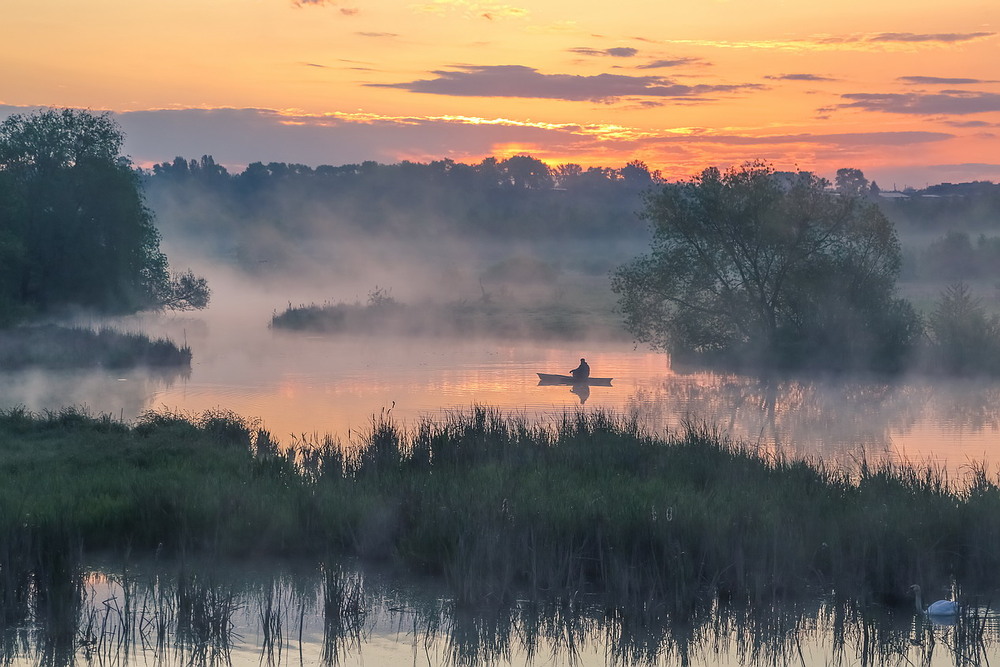 Фотографія Житомирщина / Міщенко Вячеслав / photographers.ua