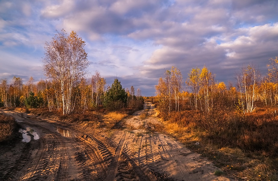 Фотографія Пьяною походкою разгуливает осень / Мищенко Вячеслав / photographers.ua