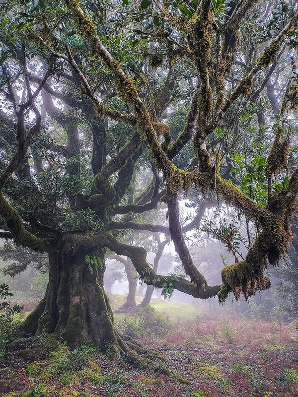 Фотографія **** / Міщенко Вячеслав / photographers.ua