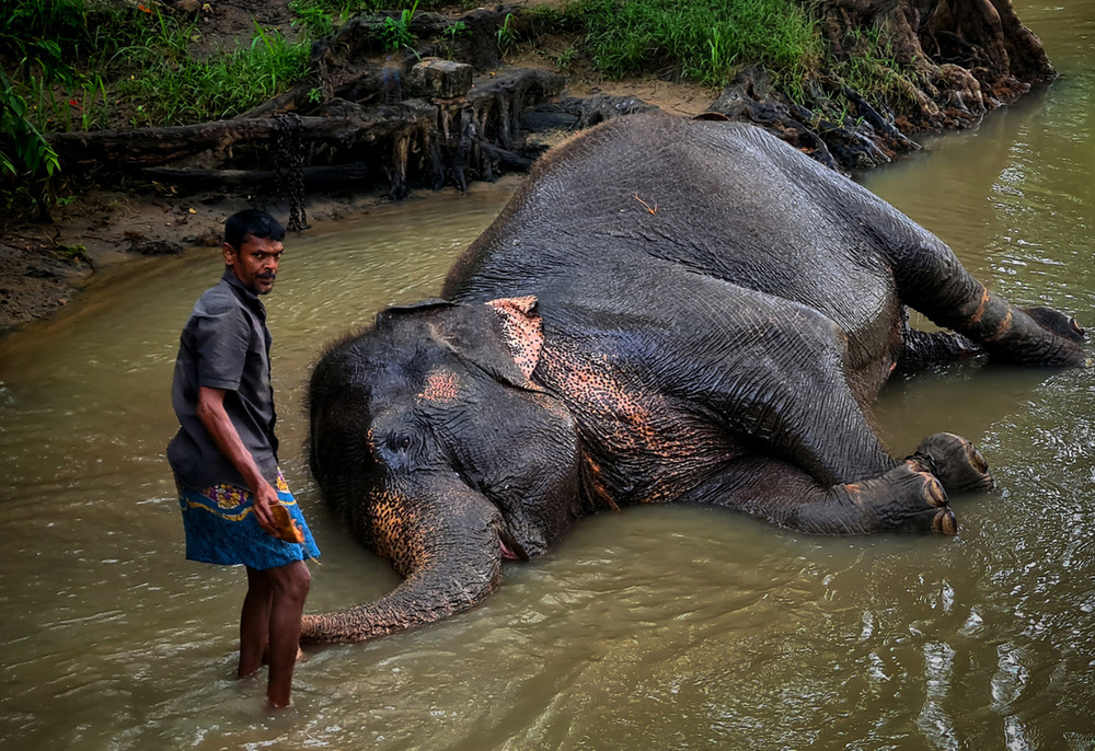 Фотографія Водні процедури / Wlad Ochotimski / photographers.ua