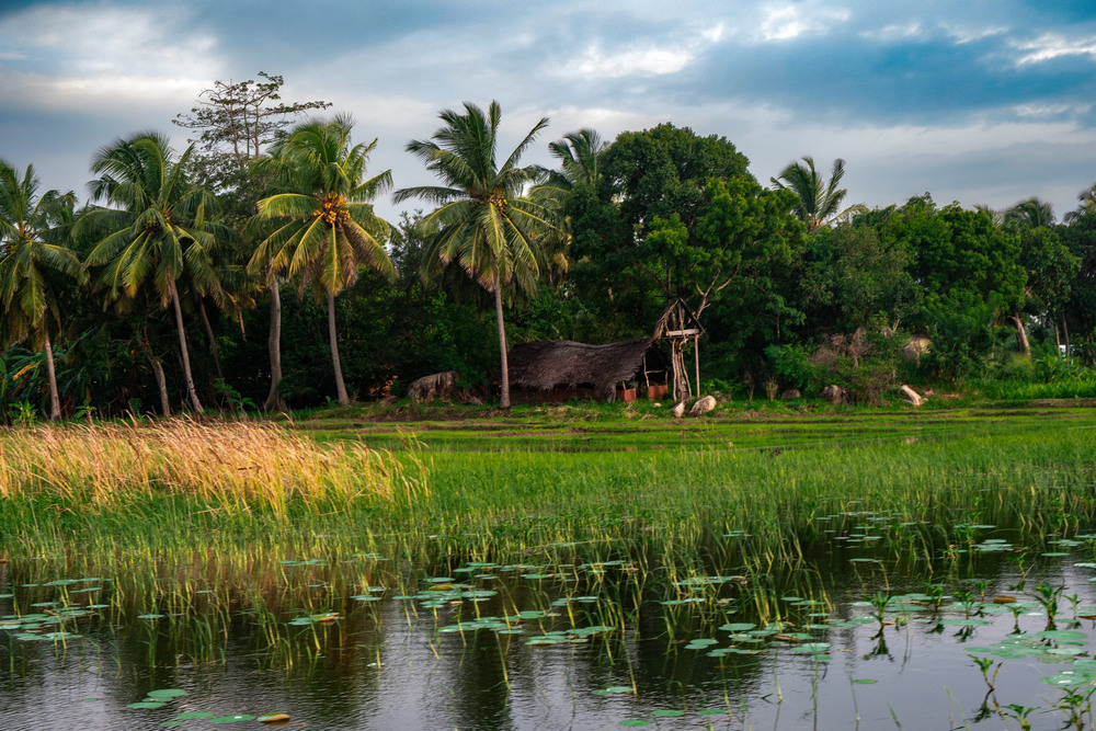 Фотографія Хатинка біля озера / Wlad Ochotimski / photographers.ua