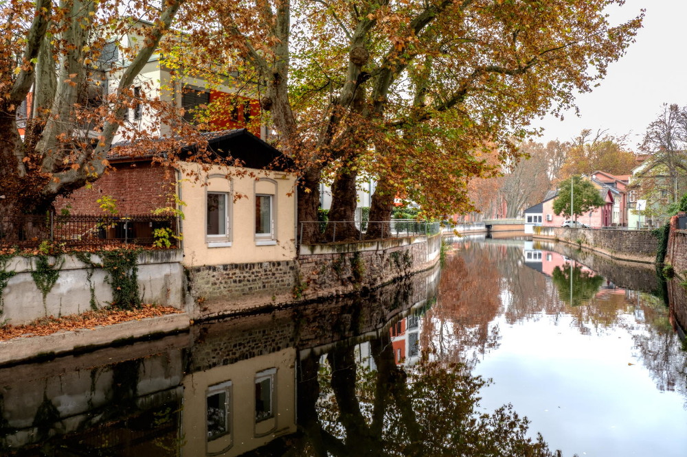 Фотографія Осенние зарисовки / Wlad Ochotimski / photographers.ua