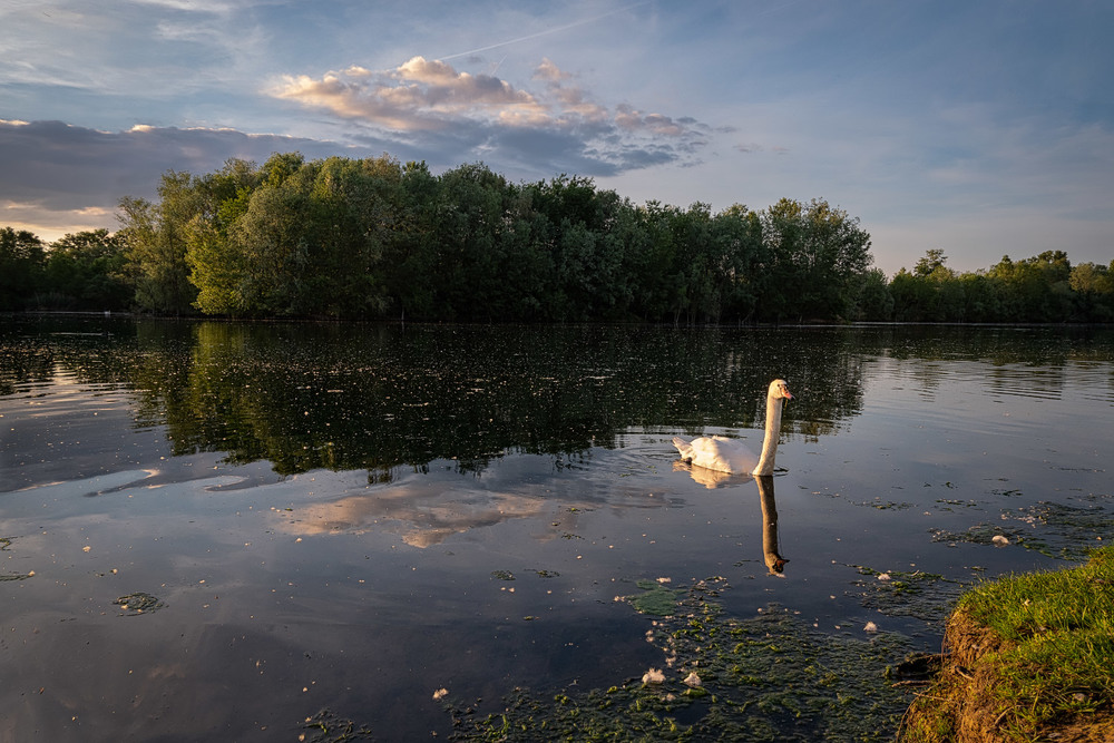 Фотографія Вечер у озера / Wlad Ochotimski / photographers.ua