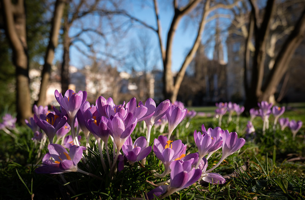 Фотографія Майже весна / Wlad Ochotimski / photographers.ua