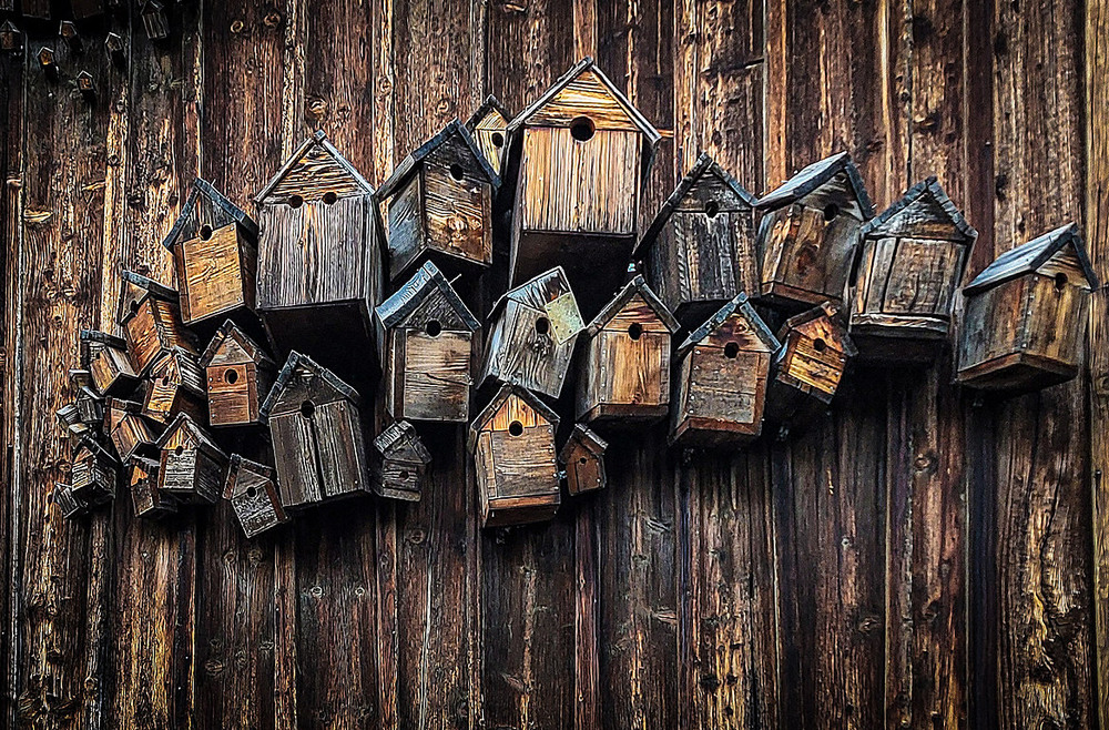 Фотографія Комунальна квартира ) / Wlad Ochotimski / photographers.ua