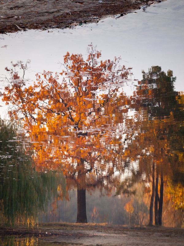 Фотографія Рисует осень отраженья на воде... / Wlad Ochotimski / photographers.ua
