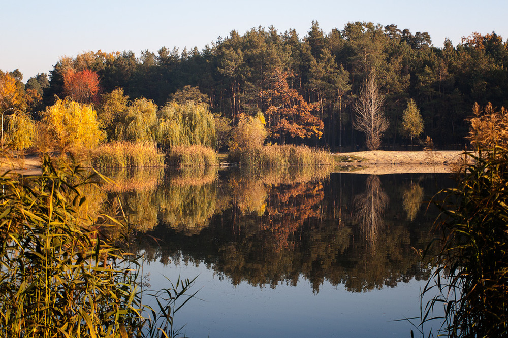 Фотографія Рисует осень отраженья на воде... / Wlad Ochotimski / photographers.ua