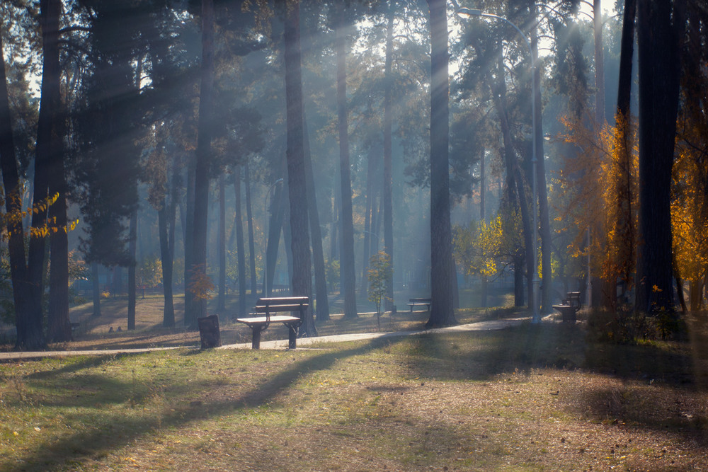 Фотографія В старом парке пахнет хвойной тишиной... / Wlad Ochotimski / photographers.ua