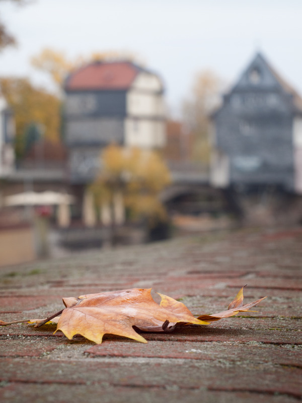 Фотографія Осень продолжается... / Wlad Ochotimski / photographers.ua