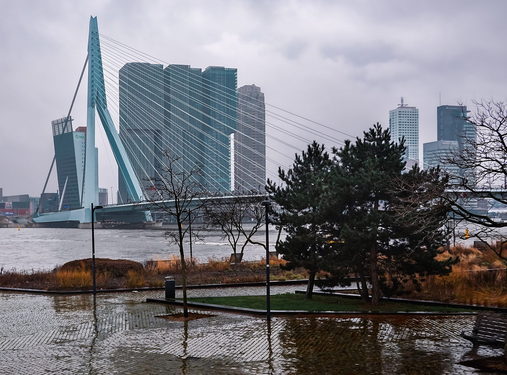 Фотографія Похмурий день у Роттердамі / Wlad Ochotimski / photographers.ua