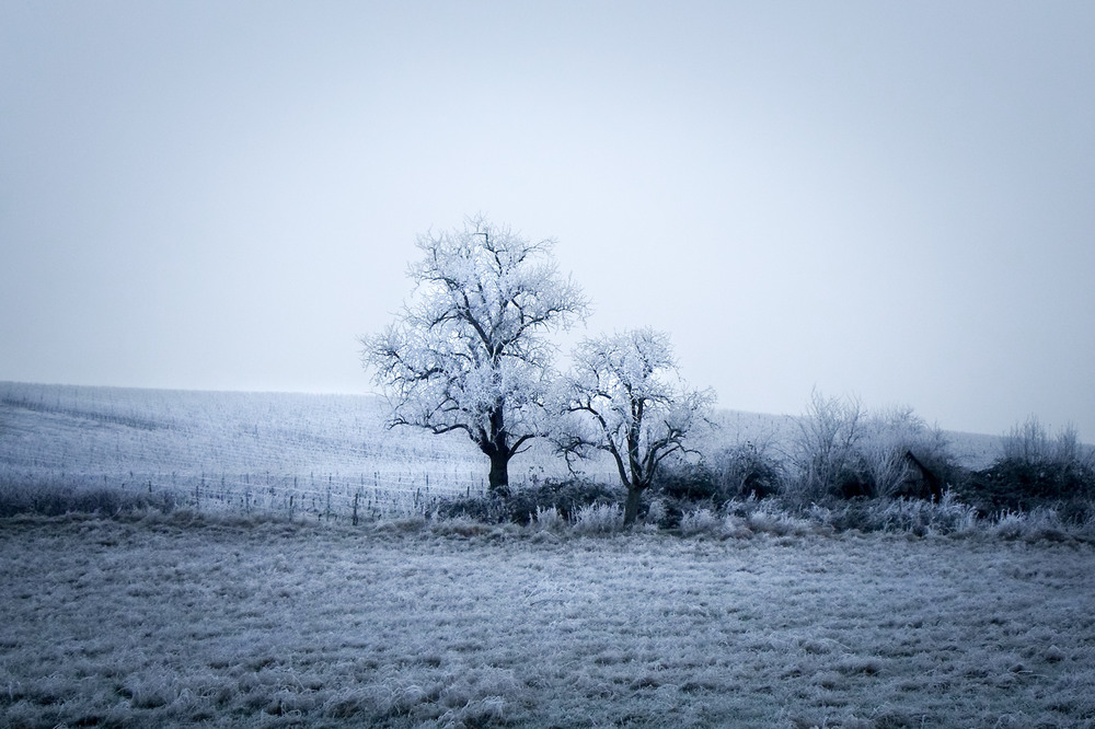 Фотографія Почти Зима... / Wlad Ochotimski / photographers.ua