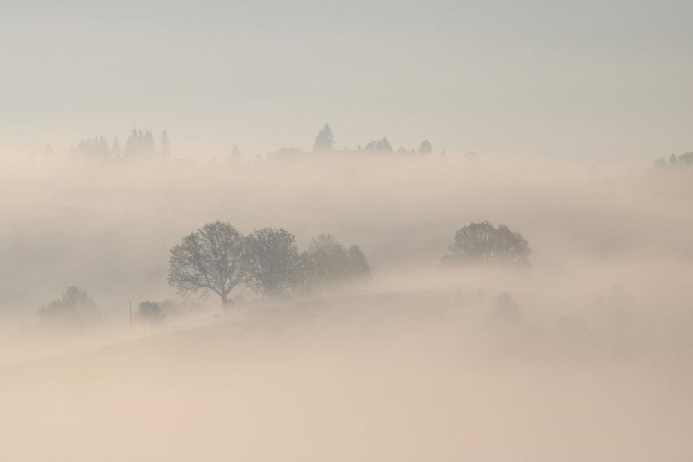 Фотографія В тумані... / Nelya Lendel / photographers.ua