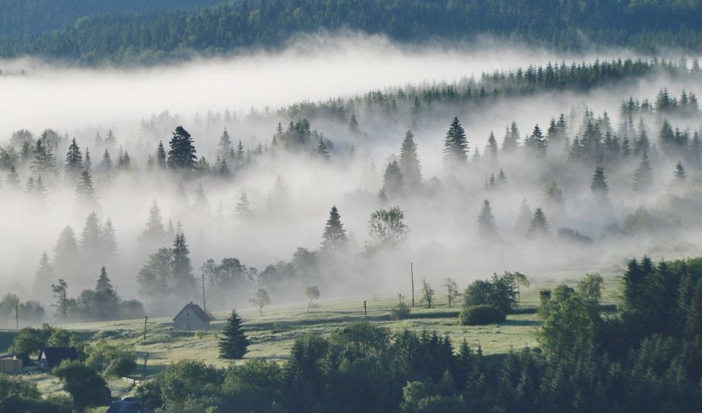 Фотографія Ранковий туман / Nelya Lendel / photographers.ua