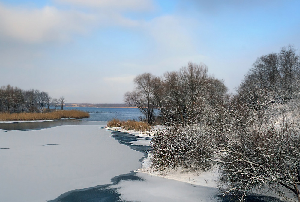 Фотографія З прийдешнім НОВИМ 2025 РОКОМ! / Зоя та Олександр / photographers.ua