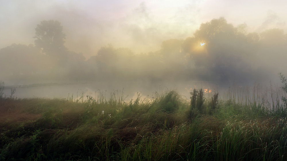 Фотографія Плив туман над озером / Зоя та Олександр / photographers.ua