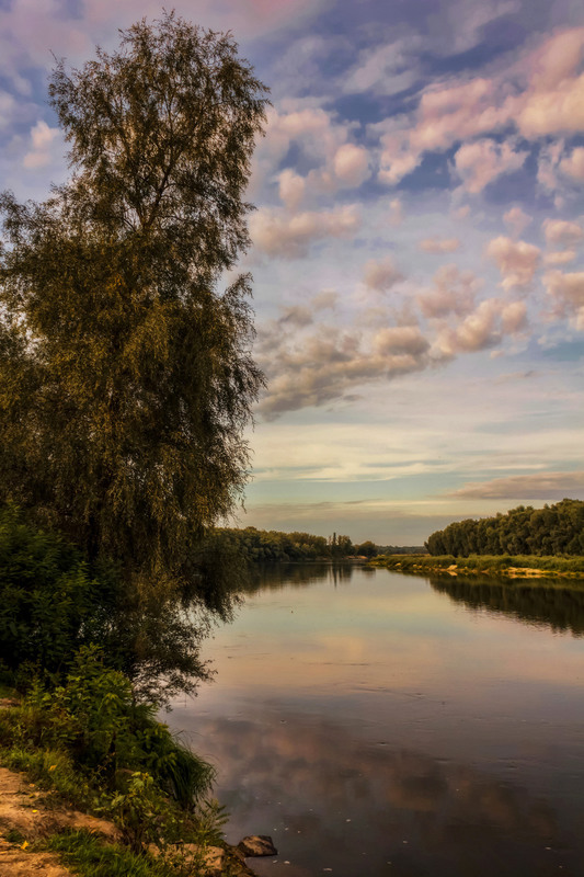 Фотографія На Десне реке / Зоя та Олександр / photographers.ua