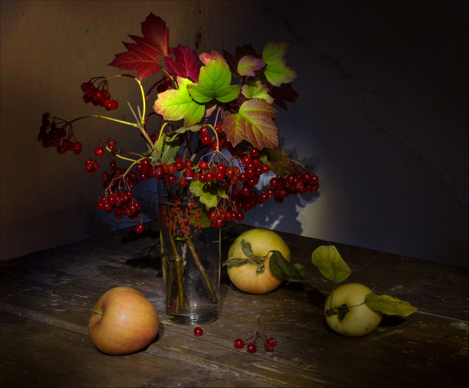 Фотографія Натюрморт з калиною та яблуками / Зоя та Олександр / photographers.ua