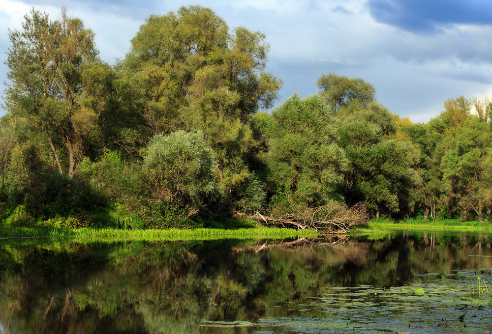 Фотографія Рибні місця на річці Остер / Зоя та Олександр / photographers.ua