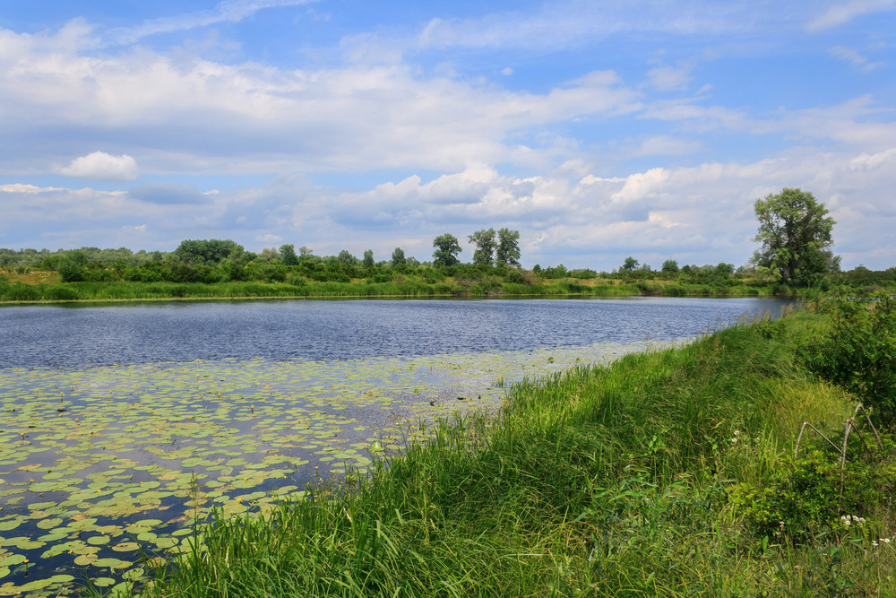 Фотографія Рідні простори / Зоя та Олександр / photographers.ua